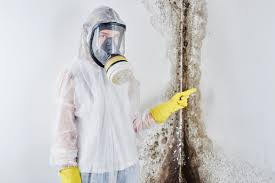 Best Residential Mold Inspection & Testing in Cottage Grove, OR